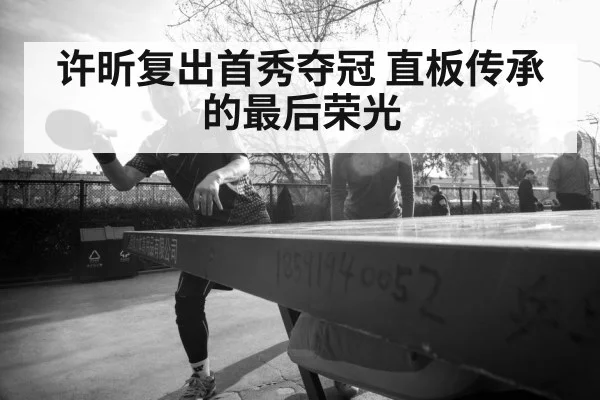 许昕复出首秀夺冠 直板传承的最后荣光